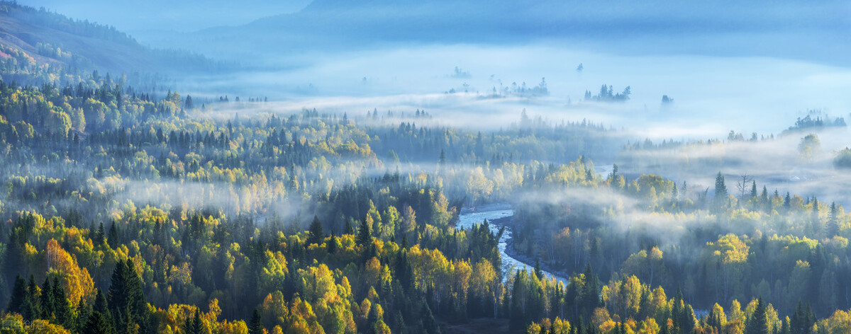 人生在追求完美的路上会很累,追求完美的路上