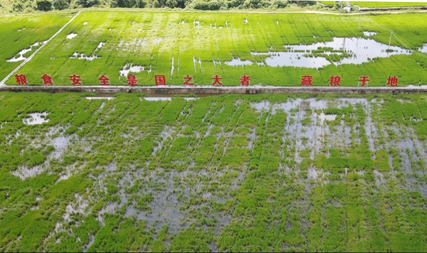耕地保护专项监督工作方案,研究耕地保护和粮食安全