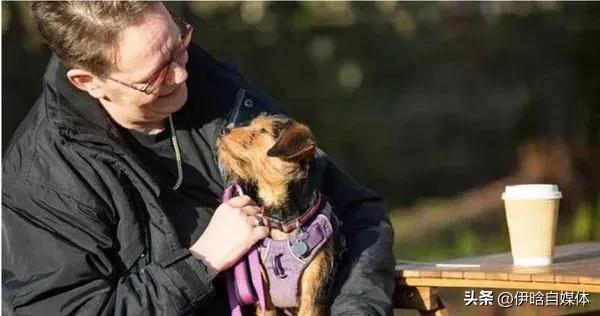 小狗心肺复苏,给小狗做心肺复苏是按压哪里