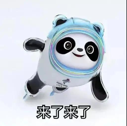 盐城警方破获诈骗案,盐城破获冰墩墩电诈案