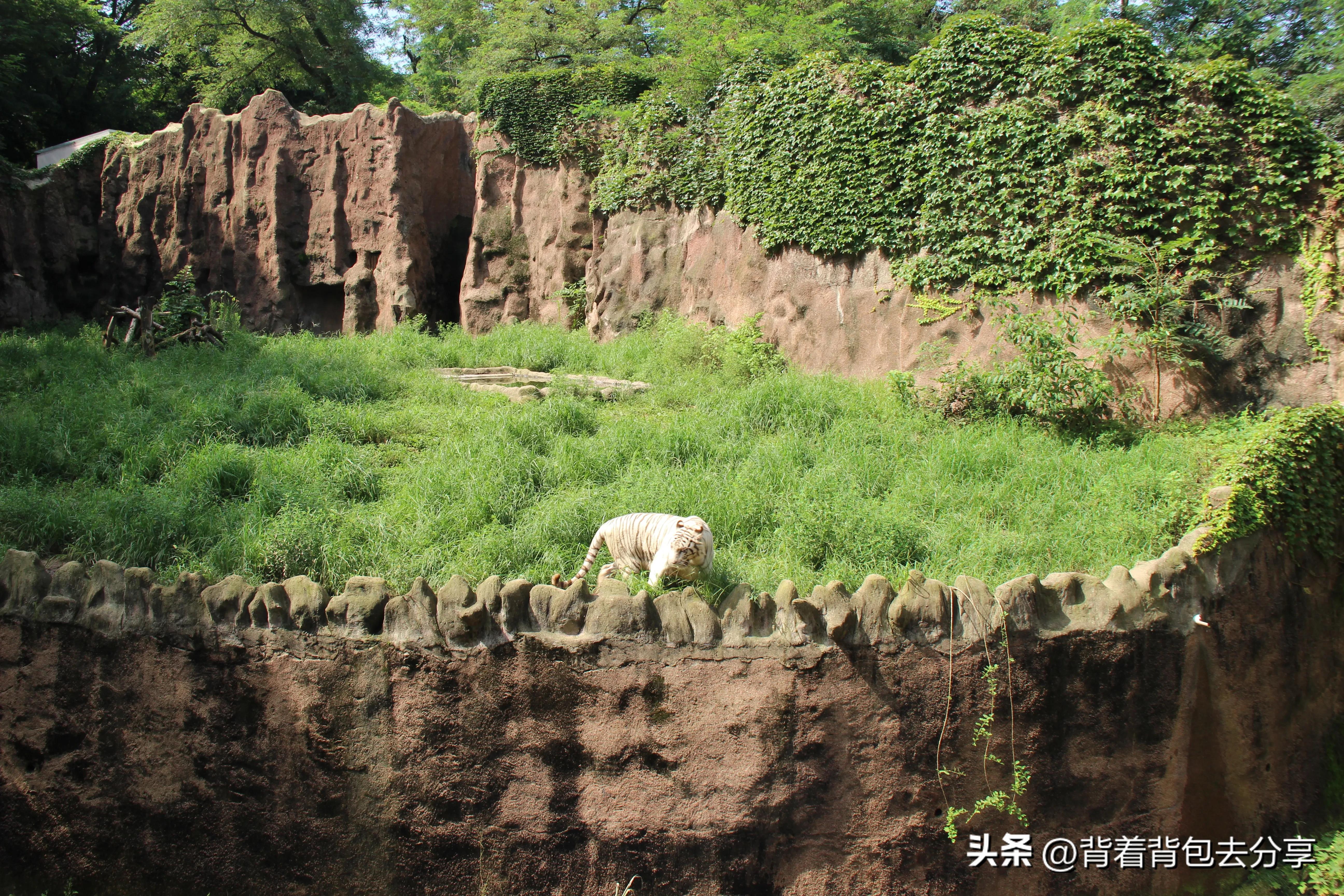 青岛旅游三天自由行攻略最新篇章,青岛最实用的旅游攻略