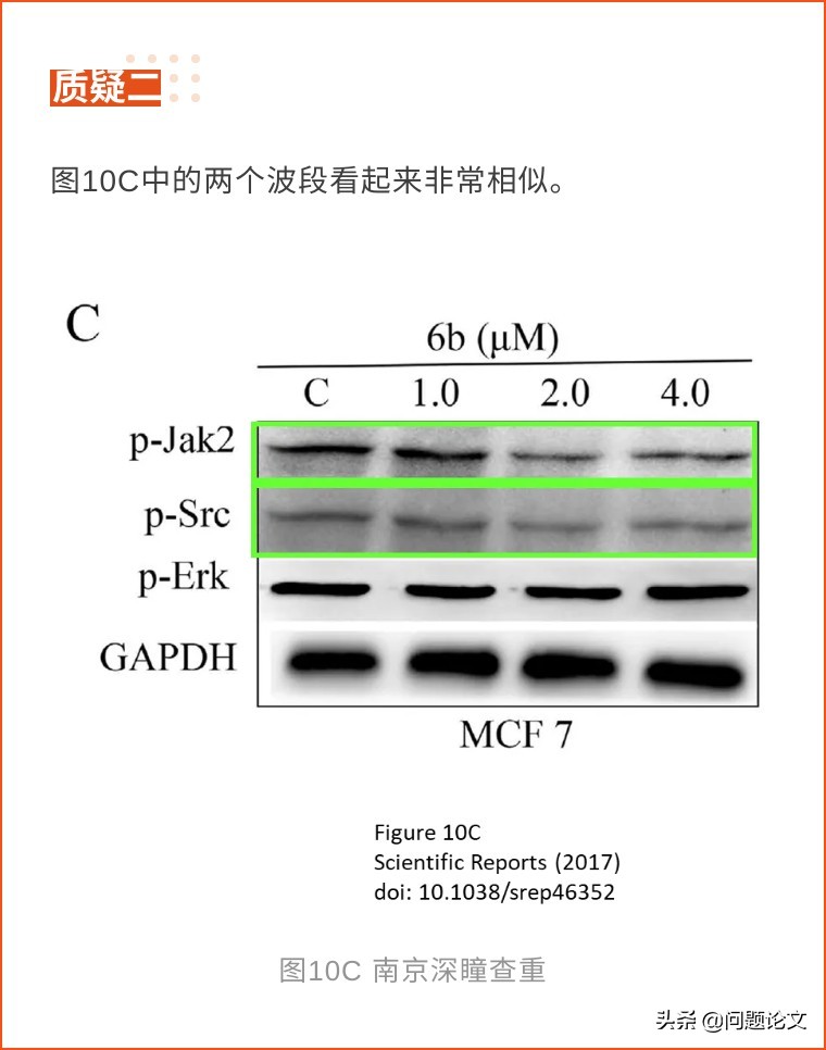 中国药科大学副校长,中国药科大学论文质疑