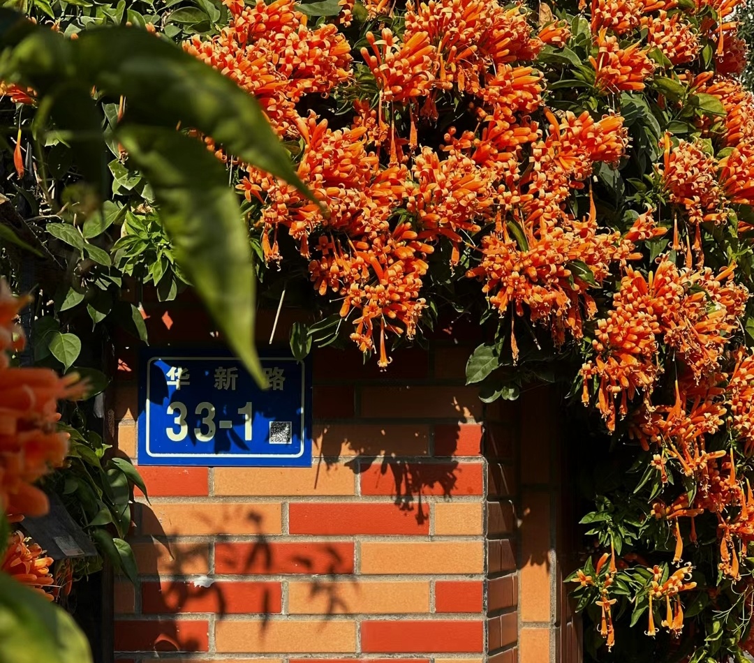 偷偷藏不住厦门取景地集美,偷偷藏不住厦门取景地