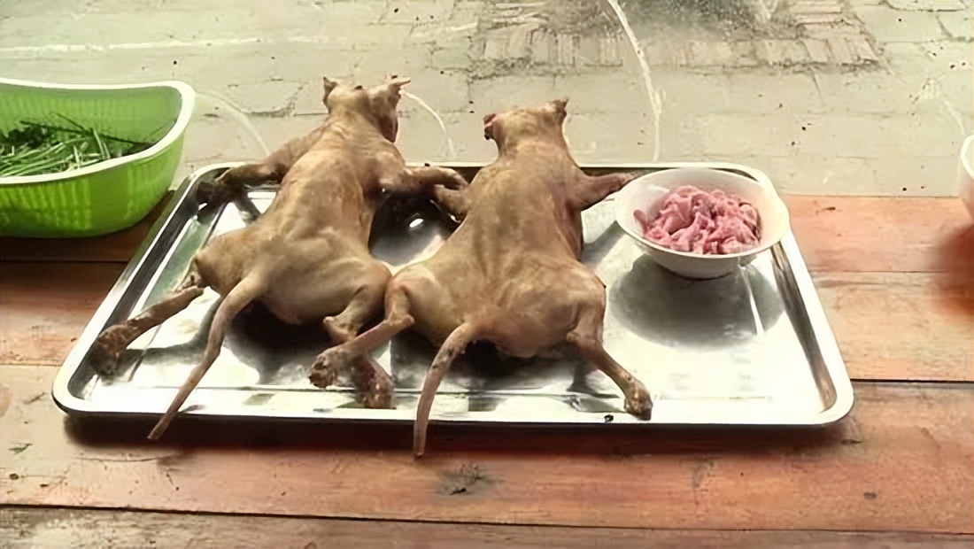 越南为什么没有苍蝇蚊子,越南为什么没有大熊猫