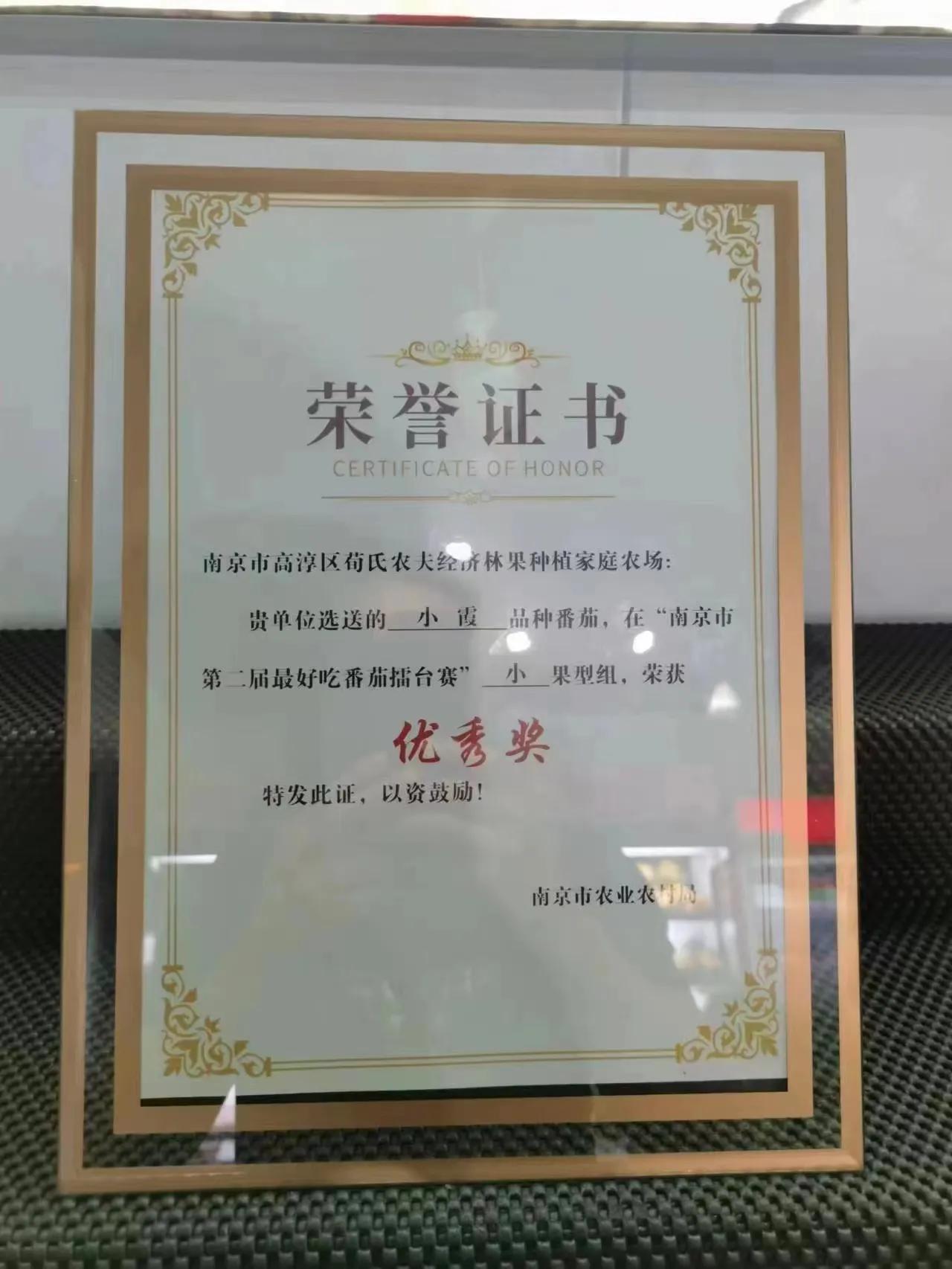 南京市高淳区新时代农人——荀新富：跨界创业“种”出美好新生活