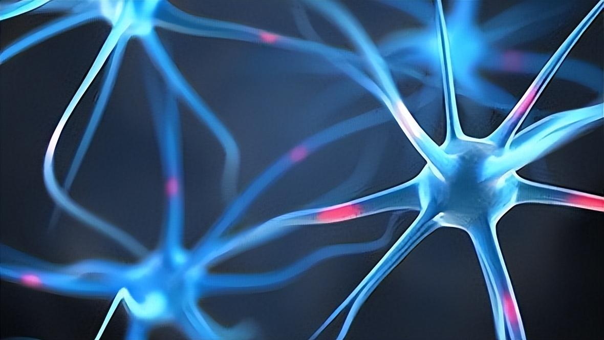 周围神经损伤的分类及潜在治疗方法