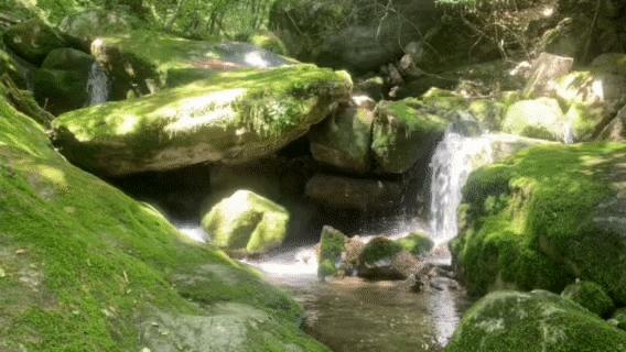 秦岭红河谷可以露营吗,秦岭红河谷之谜