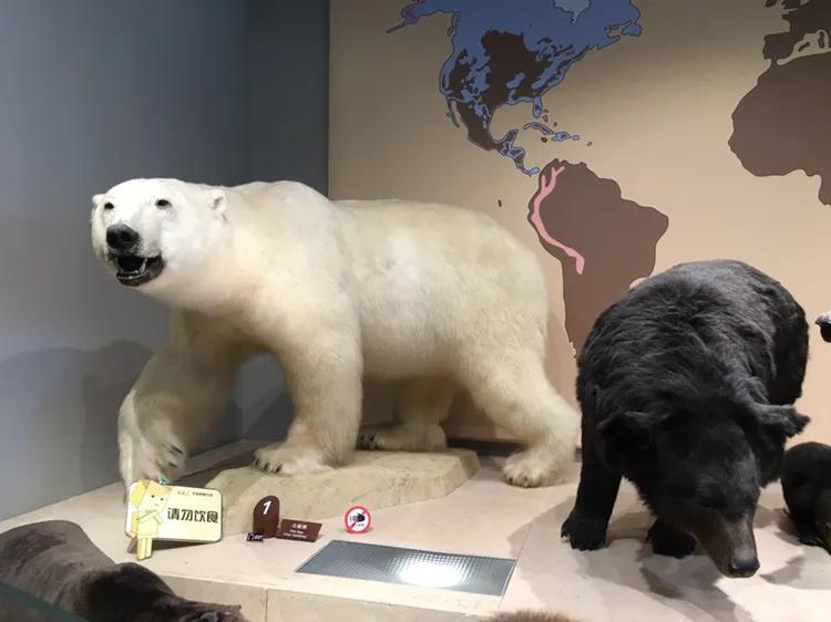 上海遛娃好去处周末亲子时光,上海有哪些值得遛娃的地方