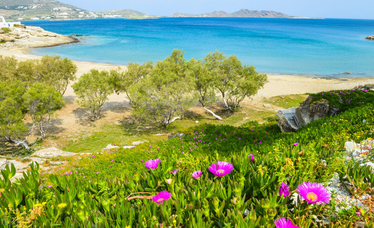 人生要善于捕捉机遇,善于抓住机遇的人比较高明