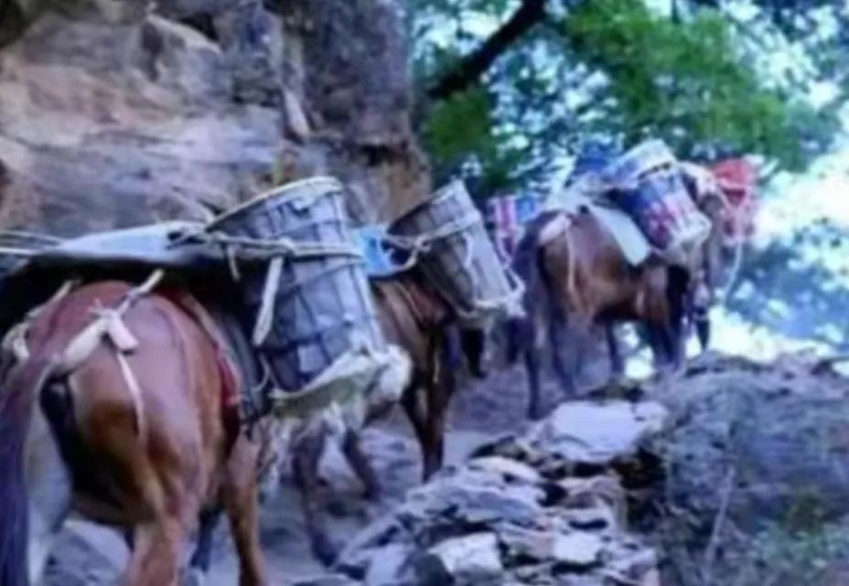 不系舟微博《诗路茶道》