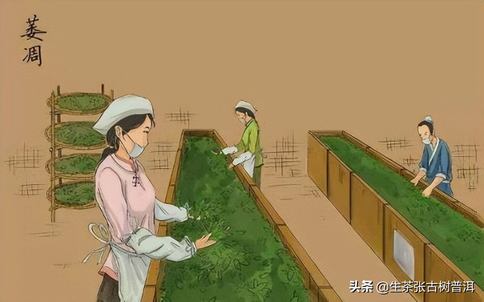 普洱茶八奇图片,普洱茶8代表什么意思