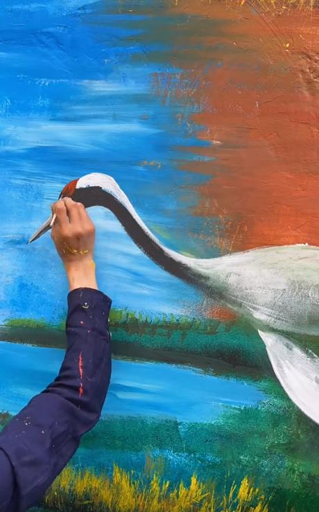 网红帅农鸟哥视频,黑马帅农鸟哥是如何走红的