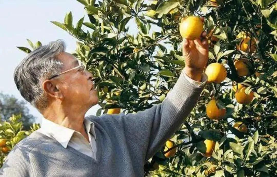 74岁坐牢成亿万富豪,74岁入狱亿万富翁