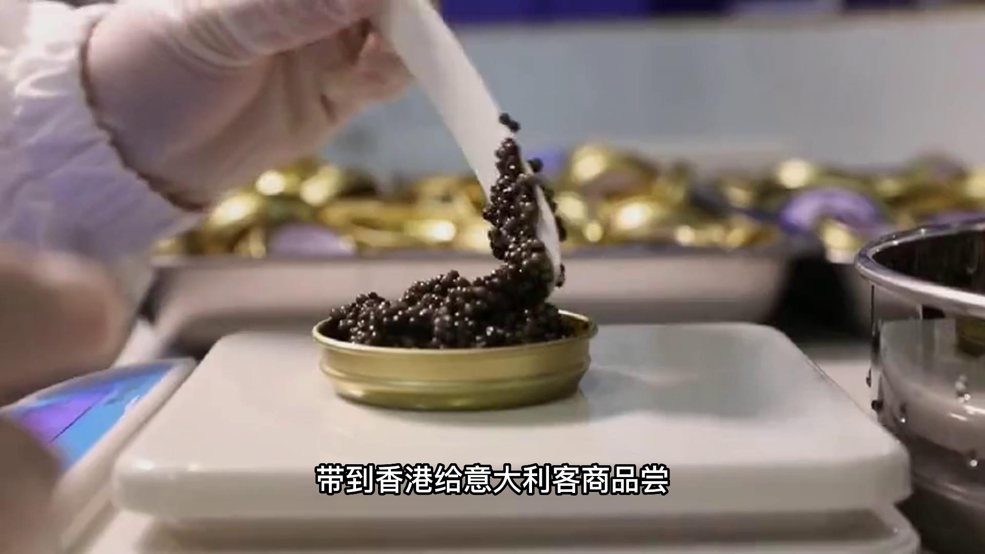 一条鱼价值25万，鱼肚子里藏“黄金”，东北老汉年赚千万财富