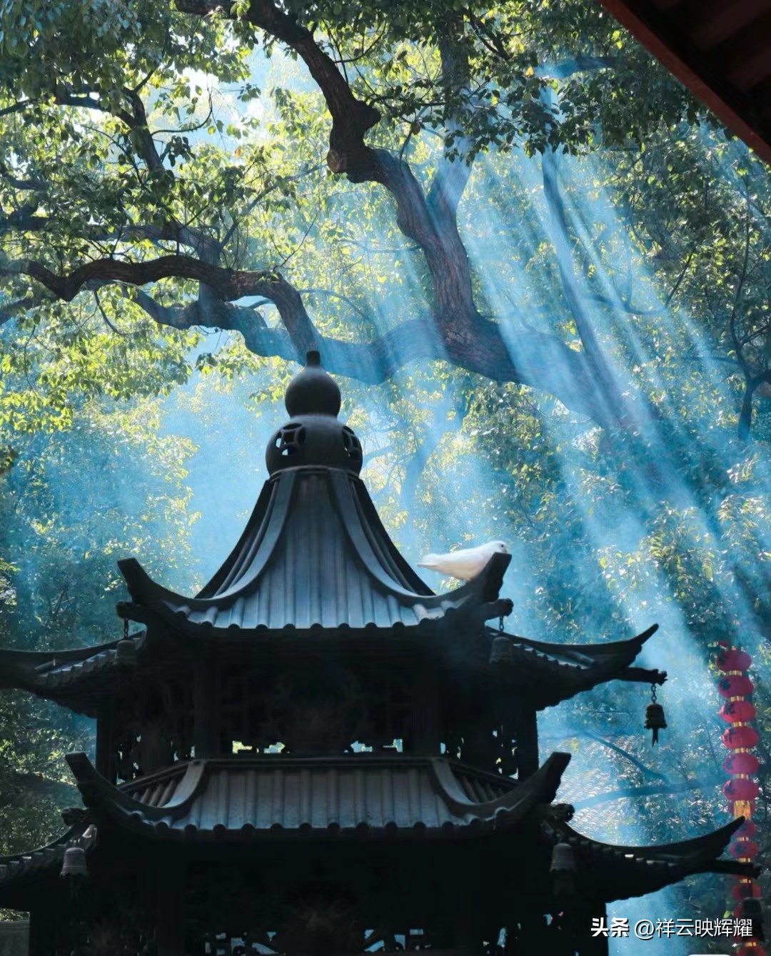 法喜禅寺景点,千年古刹中原佛教圣地