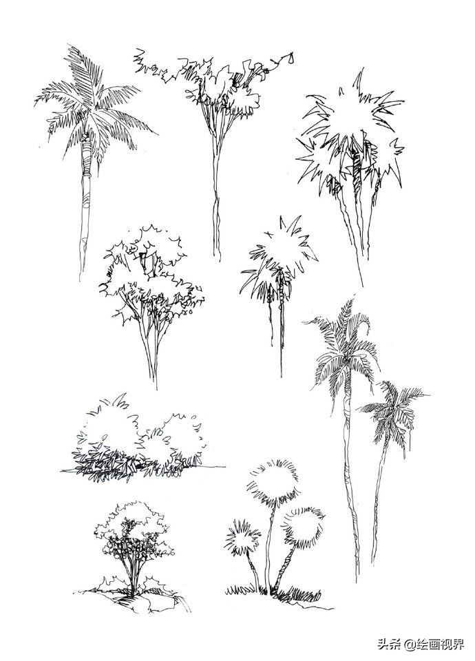 零基础不懂得绘画,速写风景简单入门视频树木石头