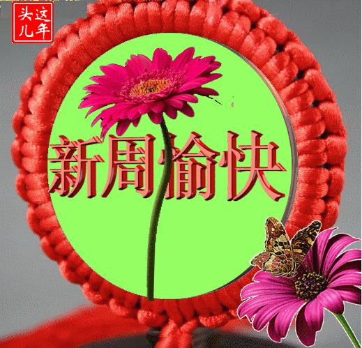 早安微笑语录经典句子,2020年经典早安心语语录锦集80条