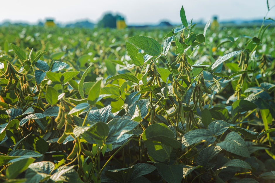 俄乌打仗不怕热吗,俄罗斯和乌克兰打仗士兵伙食