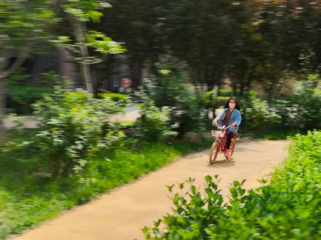 谁是影像机皇,谁才是手机机皇