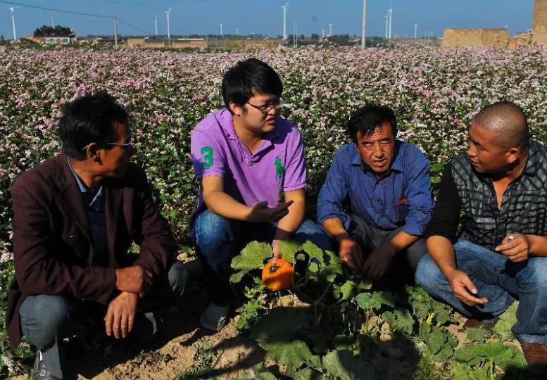 未来农村打工的前途是什么,回农村创业好还是在城市打工好