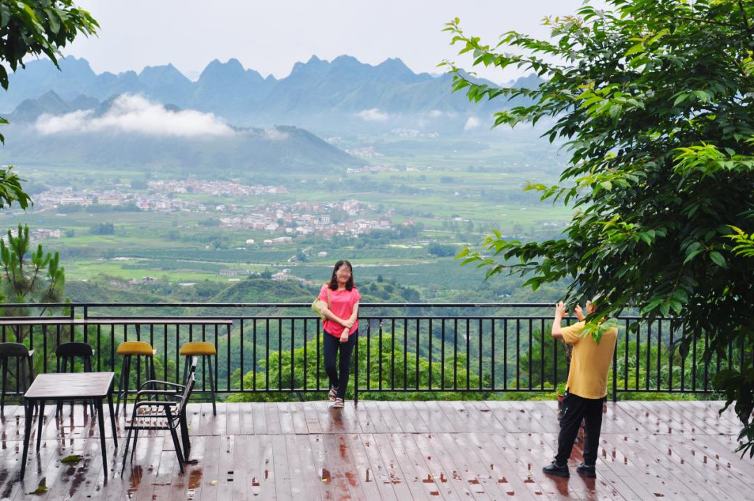 猫咪走太空步原视频最火,猫咪壁虎漫步视频