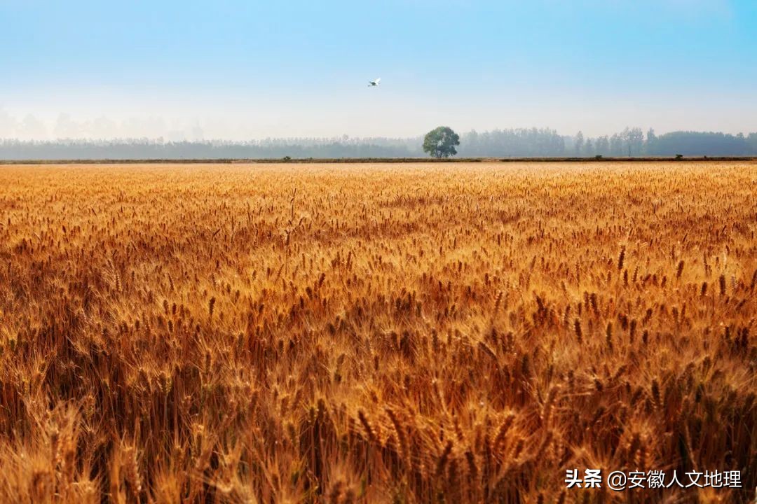 安徽六安市金寨县梅山水库风景区,六安有几个水库风景区