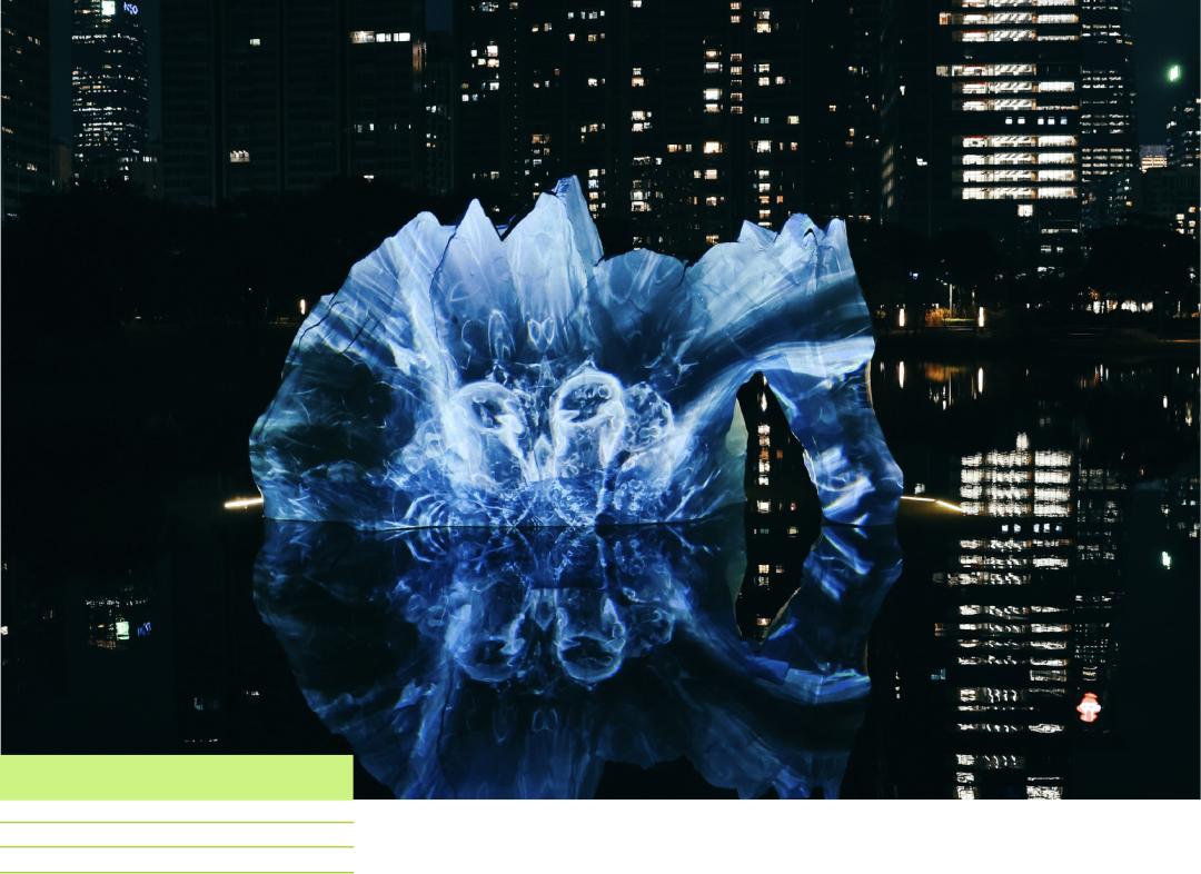 深圳香蜜公园参观指引,深圳光影艺术季攻略