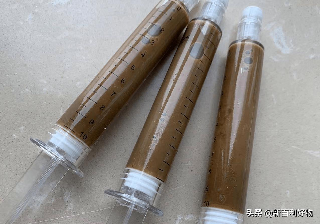 如何知道猫猫得了猫瘟,小奶猫得猫瘟多久度过危险期