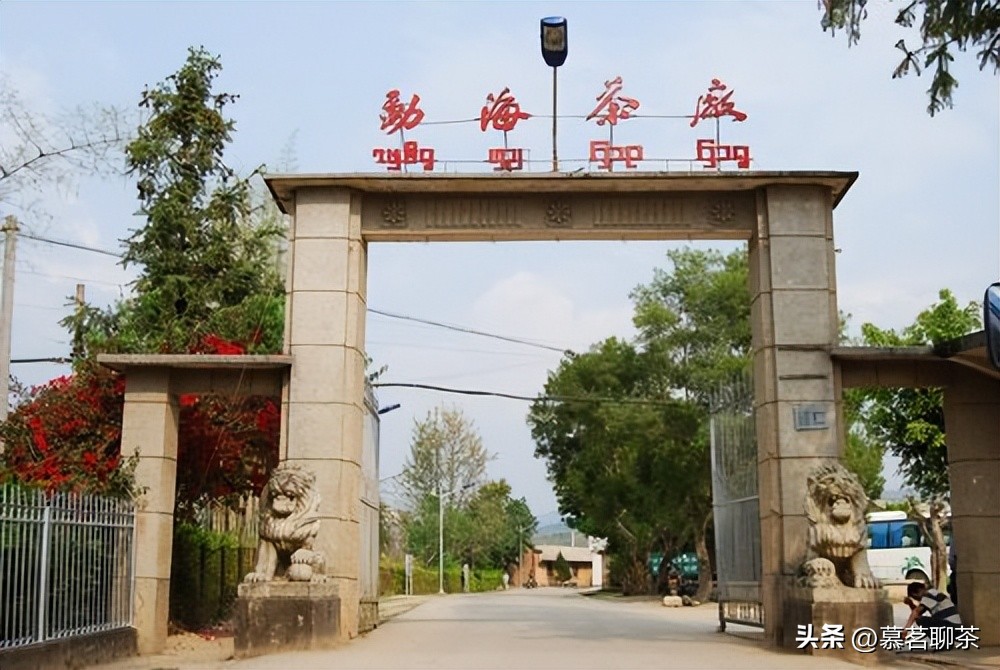 再美的泡沫也有被戳破的一天，普洱金融茶，梦该醒了！