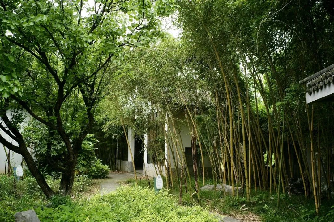 浙江市区度假酒店推荐,浙江轻奢酒店值得推荐