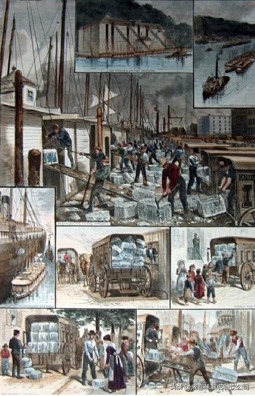 冰爱雪浅谈冰激凌的起源和“冷知识”