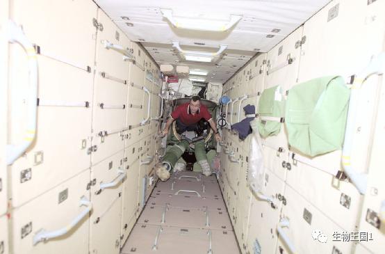 中国空间站与国际空间站尺寸对比,国际空间站与中国空间站内部对比