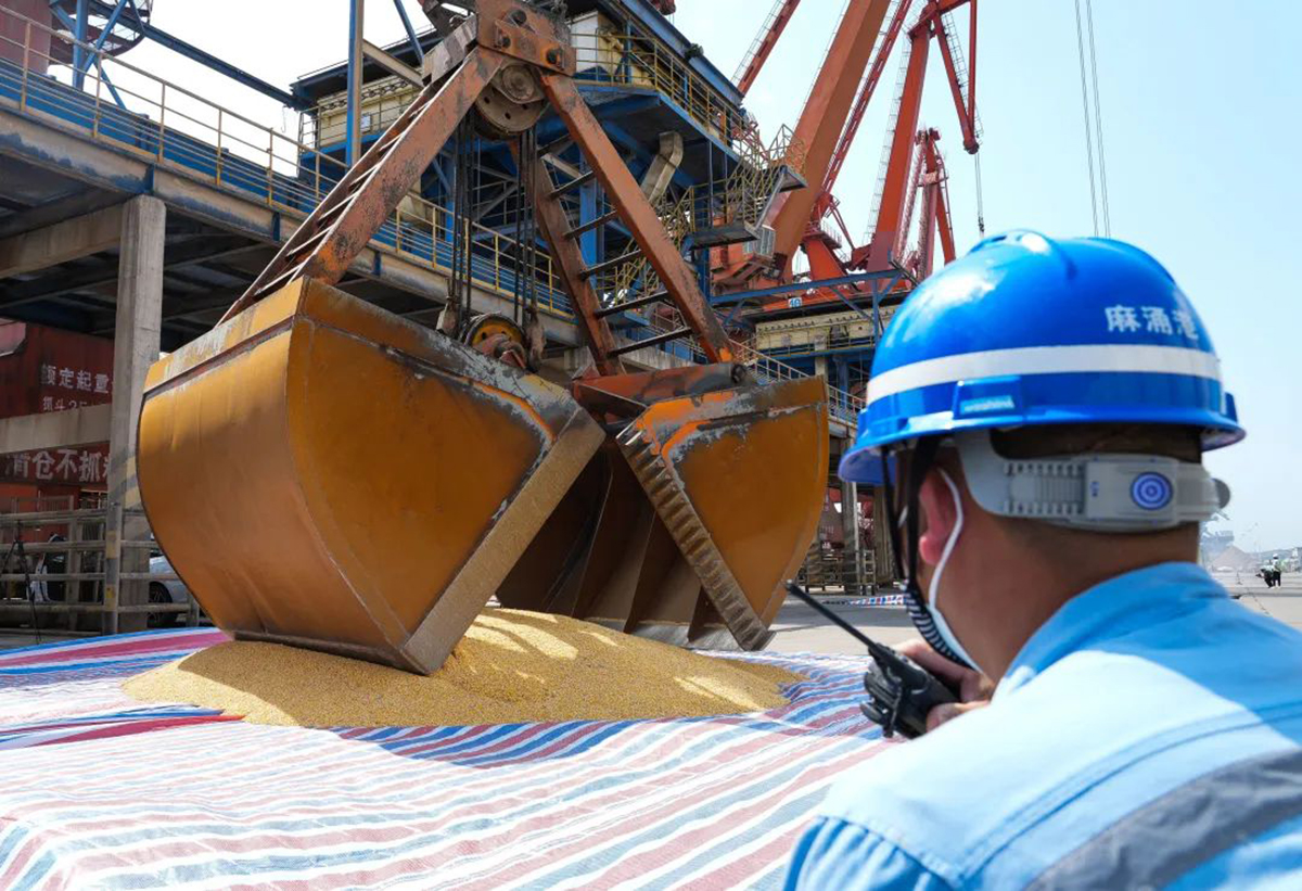 美国70万吨玉米订单被取消了吗,中国取消美国玉米订单吗