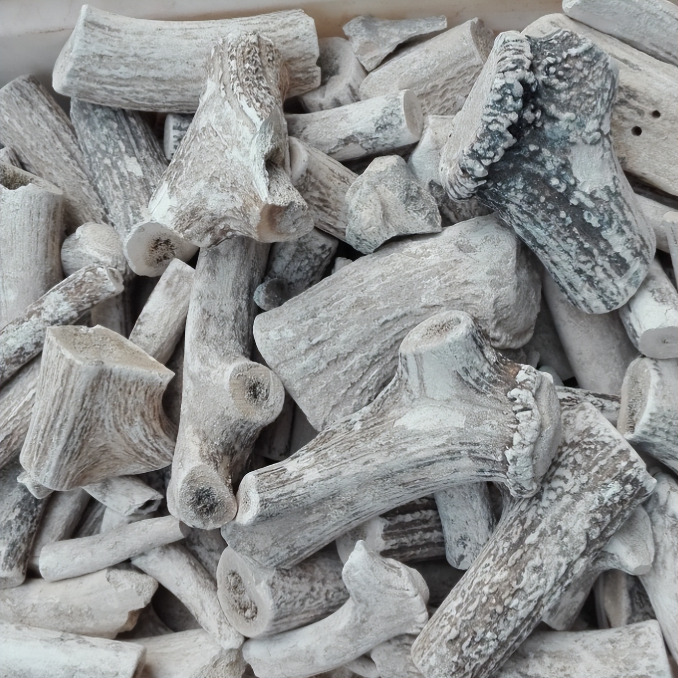 每天学习一味中药教学,中药鹿茸煎煮方法