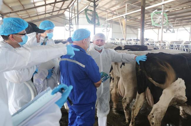 伊利助推中国乳业高质量发展,伊利2021年业绩