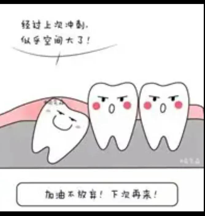 拔牙害怕,害怕拔牙视频