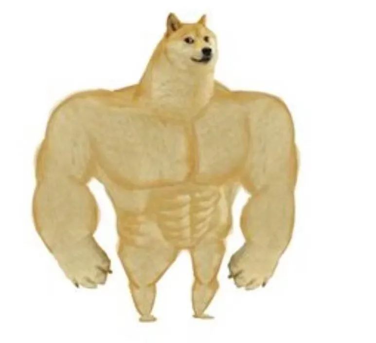 韩国流行宽肩,宽肩在韩国多流行