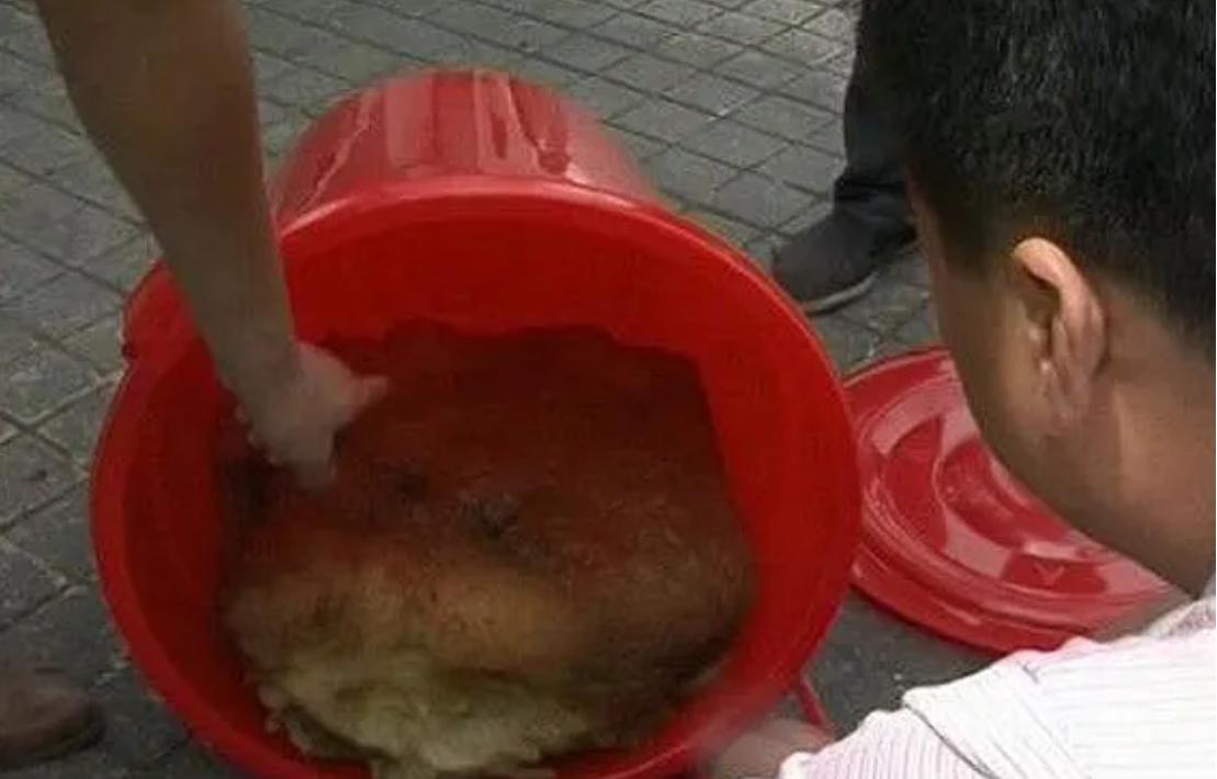 太岁中科院研究,太岁之谜神秘东西