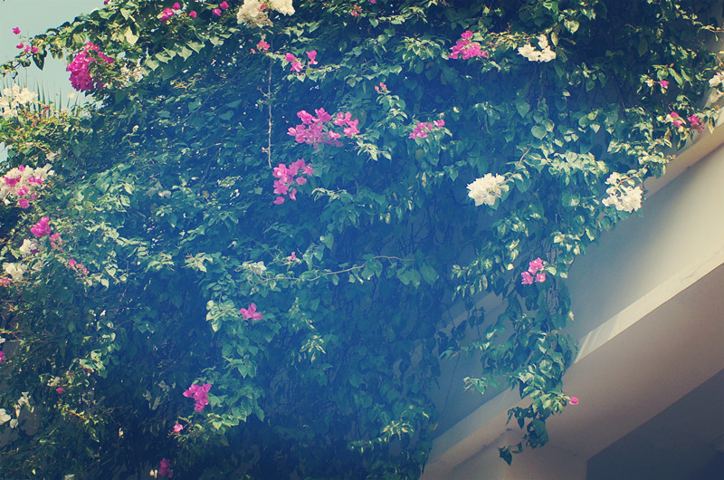 高中英语单词学习重点归纳,春季高考英语必背单词复习资料