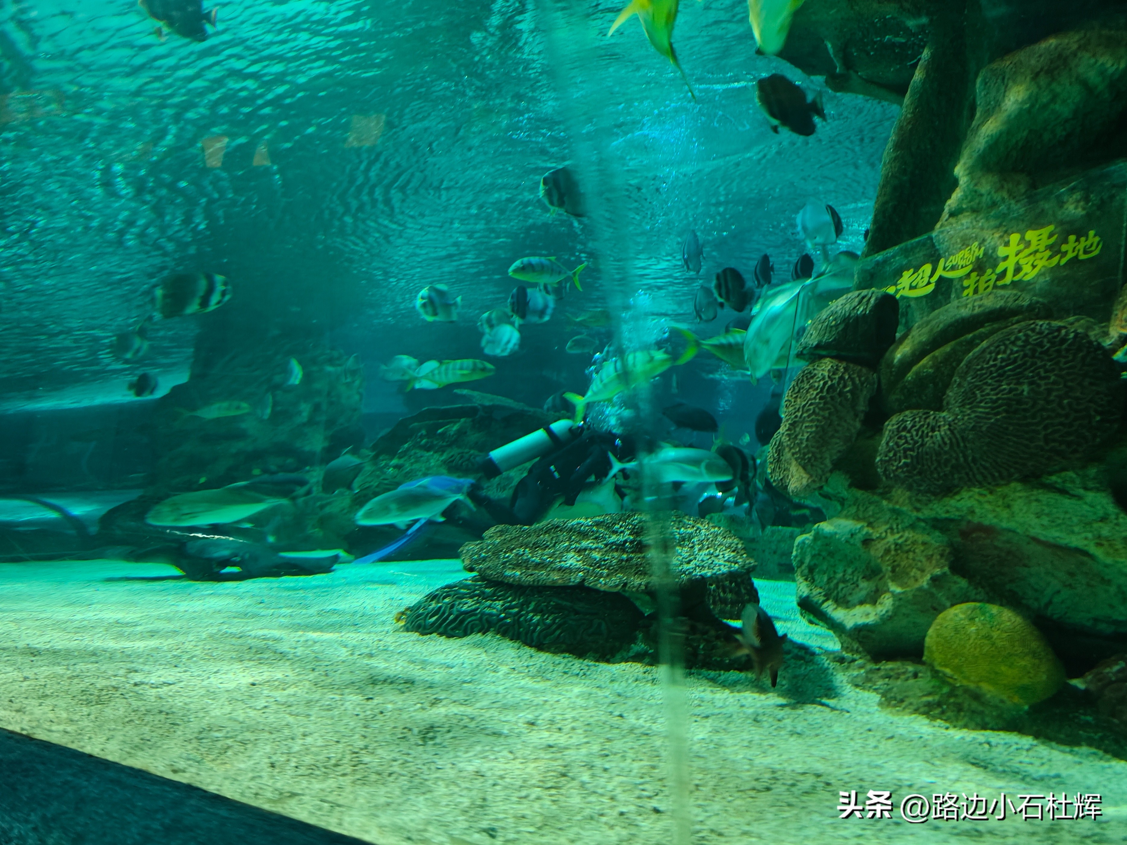 北京富国海底世界海洋水族馆,北京海洋馆和工体海洋世界