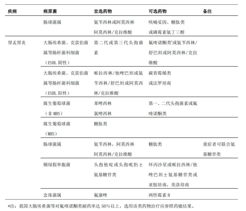 必看！泌尿道感染用药全解读