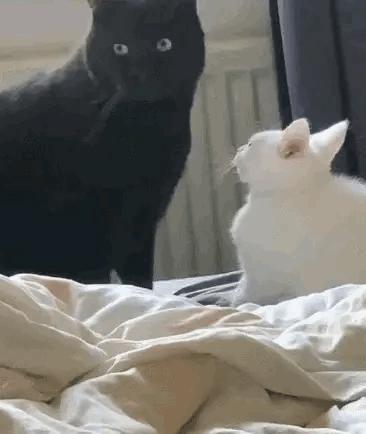 老婆不知去哪买的这衣服，刚进家门就给我吓了一身汗，好尴尬