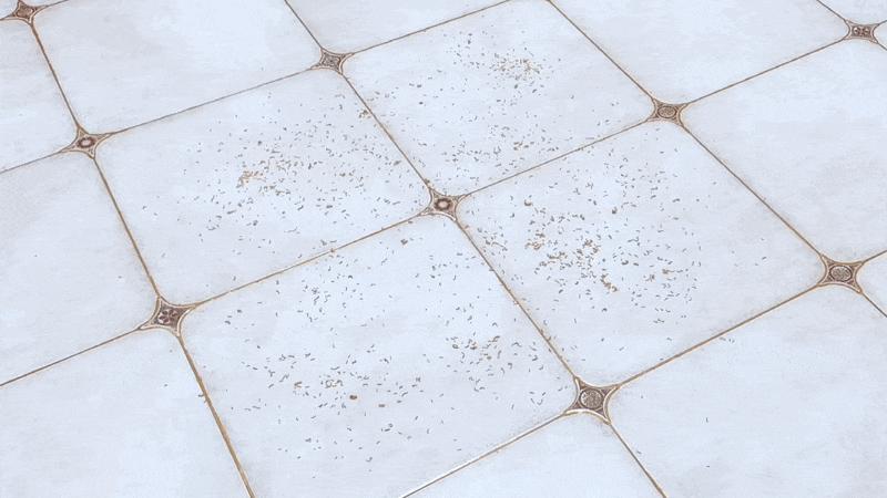 扫地机器人推荐云鲸j3,扫地机器人云鲸J3测评