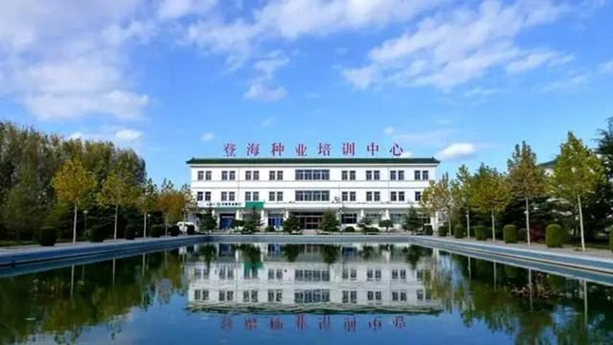 农产品股票今日行情,农业种业股票行情