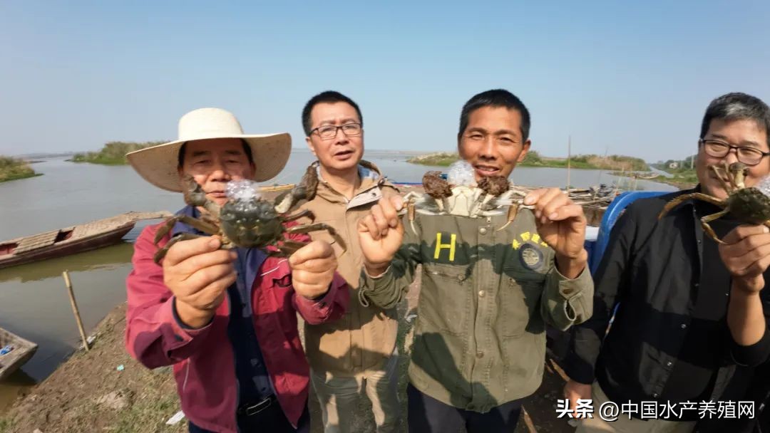 阳澄湖大闸蟹路线图,去阳澄湖大闸蟹攻略路线