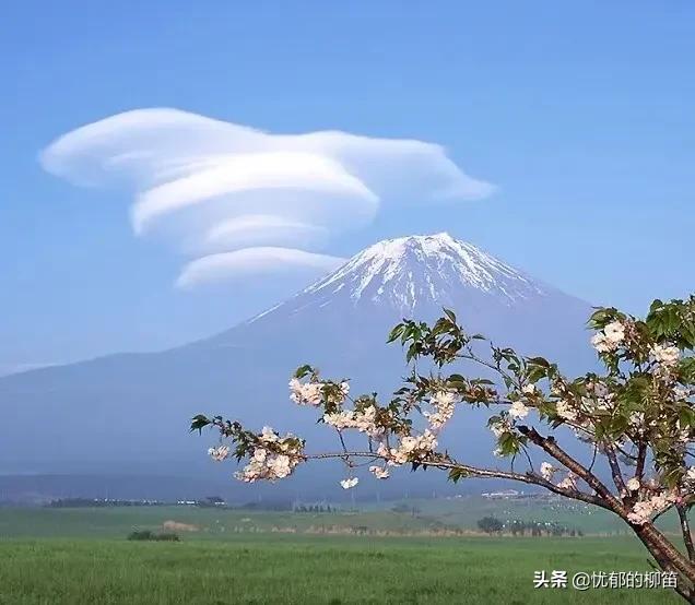 现代诗我是个过客,十首过客的诗歌