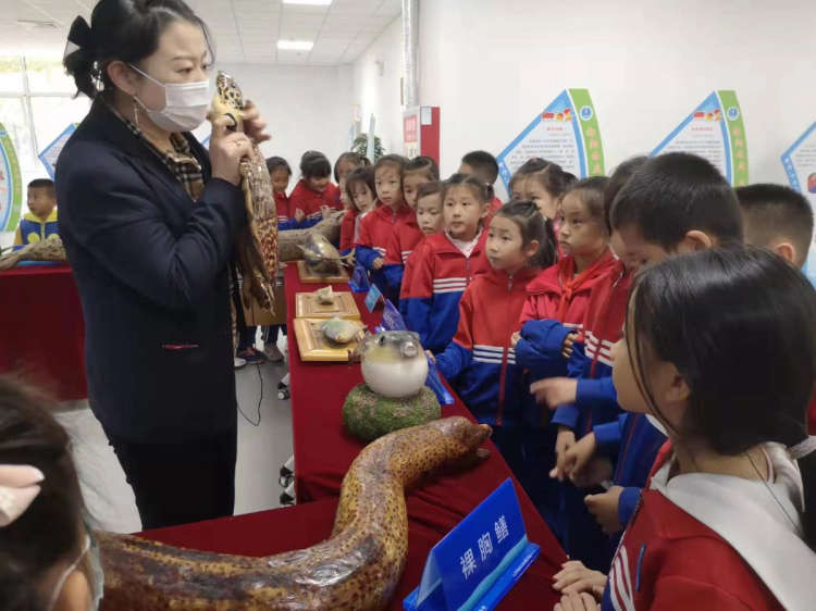 城阳区第二实验小学课间操,城阳区第二实验小学校