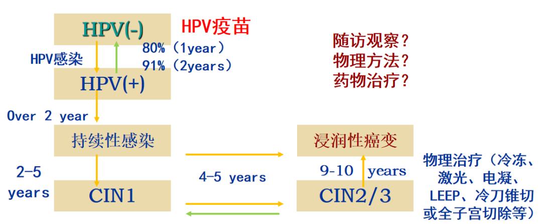 派特灵生物,派特灵生物讲解