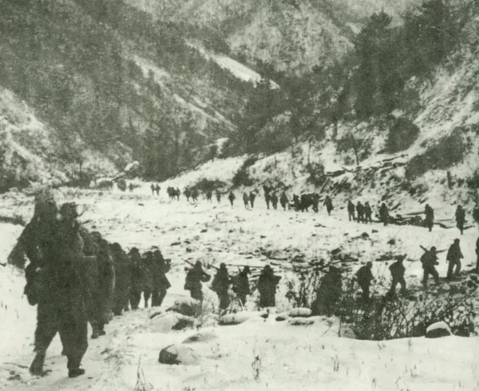 解放军113师简介,解放军113部队