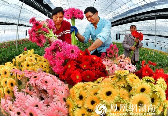 星沙一户一梯,星沙幸福洋房